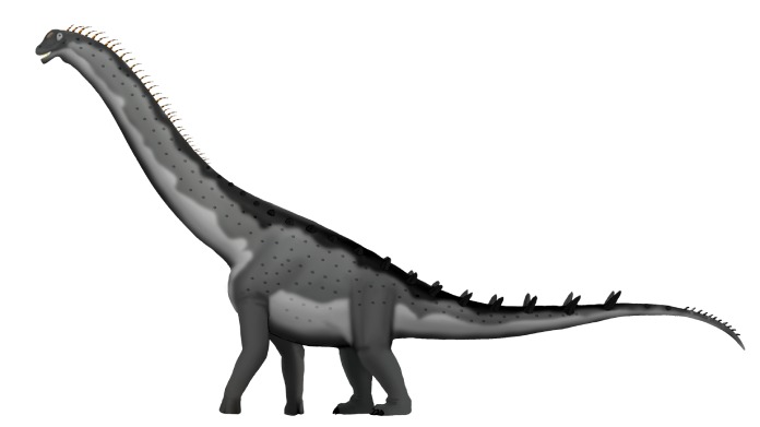 Alamosaurus.