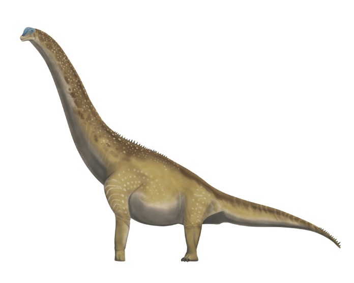 Imagen de un braquiosaurio.