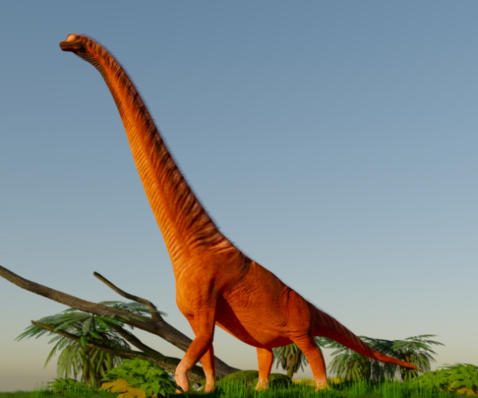 Braquiosaurio.
