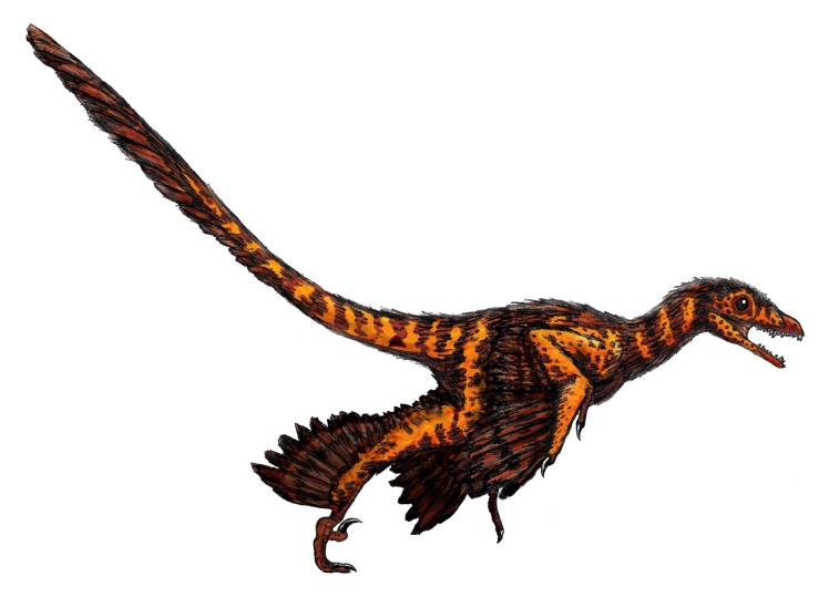 Reconstrucción de un Sinornithosaurus
