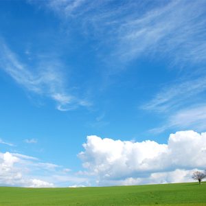 Campo verde con cielo azul y nubes blancas