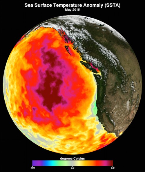 Evidencia satelital de la ola de calor registrada en mayo del 2015, ocurrida entre 2012 y 2016.