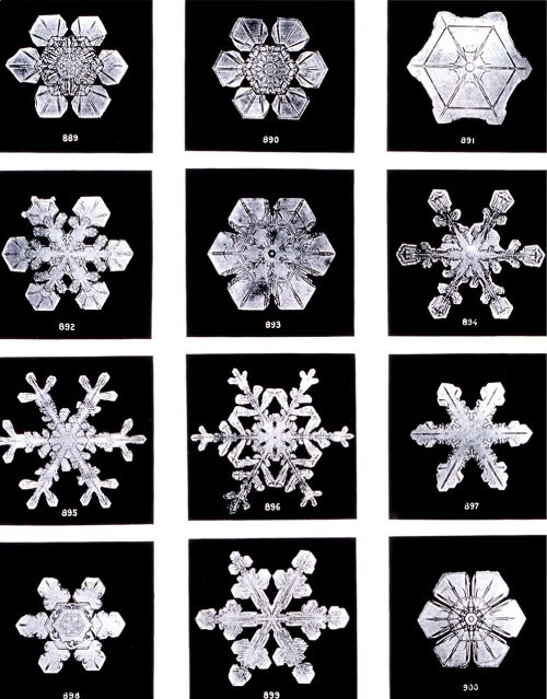 Formas de copos de nieve