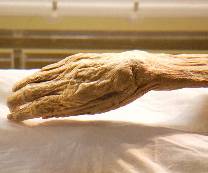 Mano de Lady Dai, la momia mejor conservada del mundo