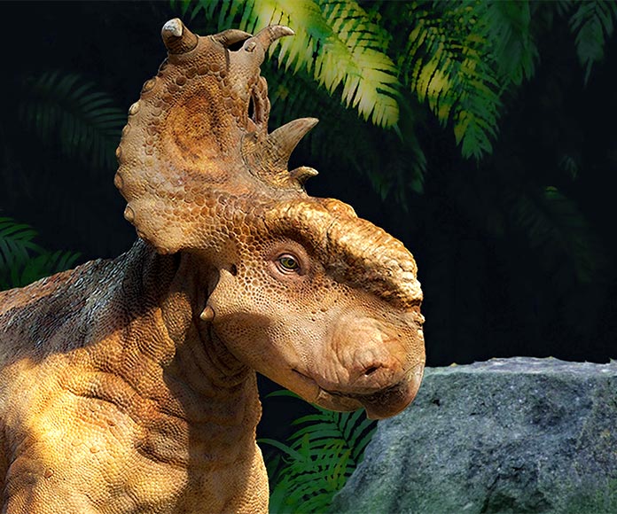 Ilustración de un pachyrhinosaurus