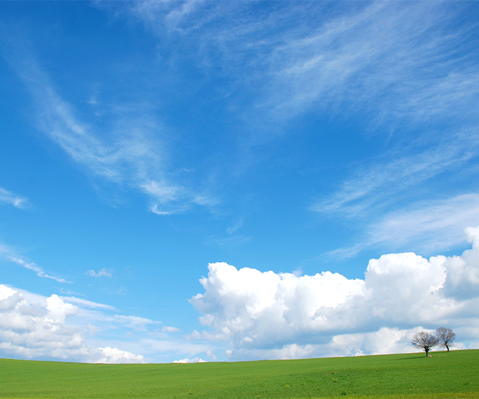 Campo verde con cielo azul y nubes blancas