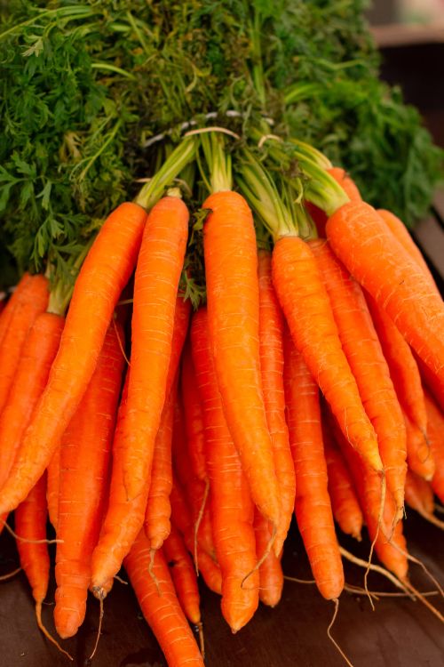Zanahoria, una de las raíces comestibles más populares.